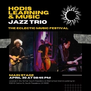 Hodis Learning & Music jazz trio at the eclectic music festival