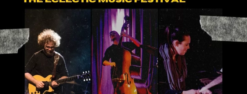Hodis Learning & Music jazz trio at the eclectic music festival