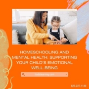 Homeschooling And Mental Health: Supporting Your Child's Emotional Well-being